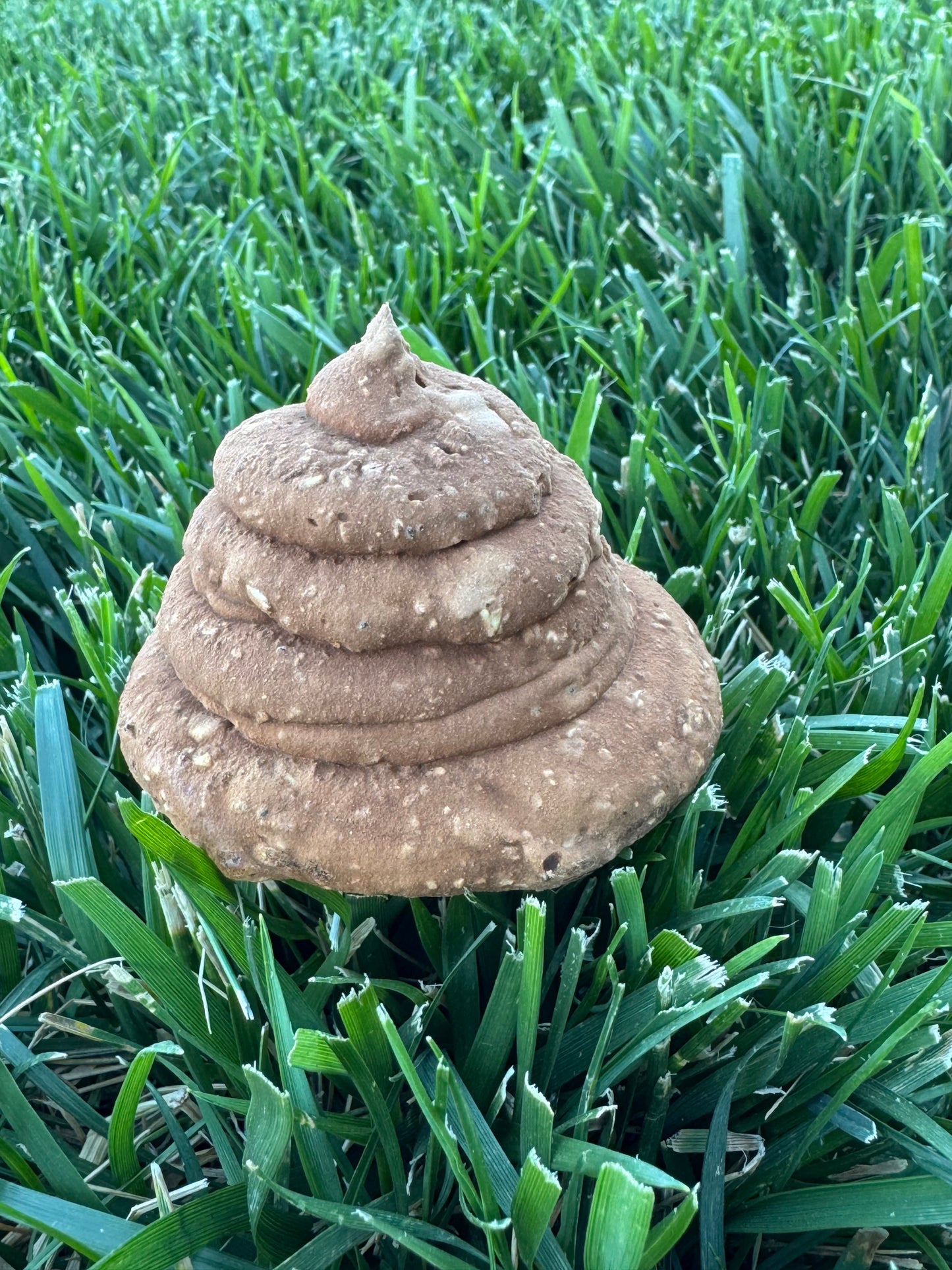 Oh Poop!