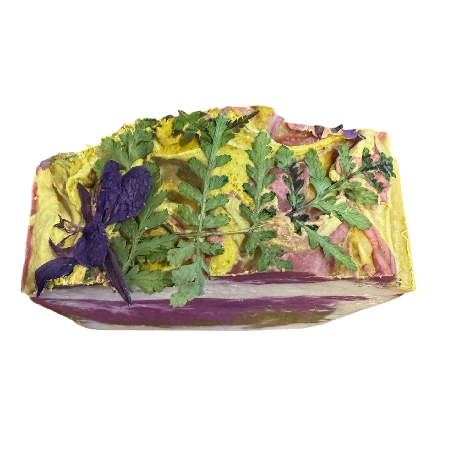 Alaskan Oak Moss