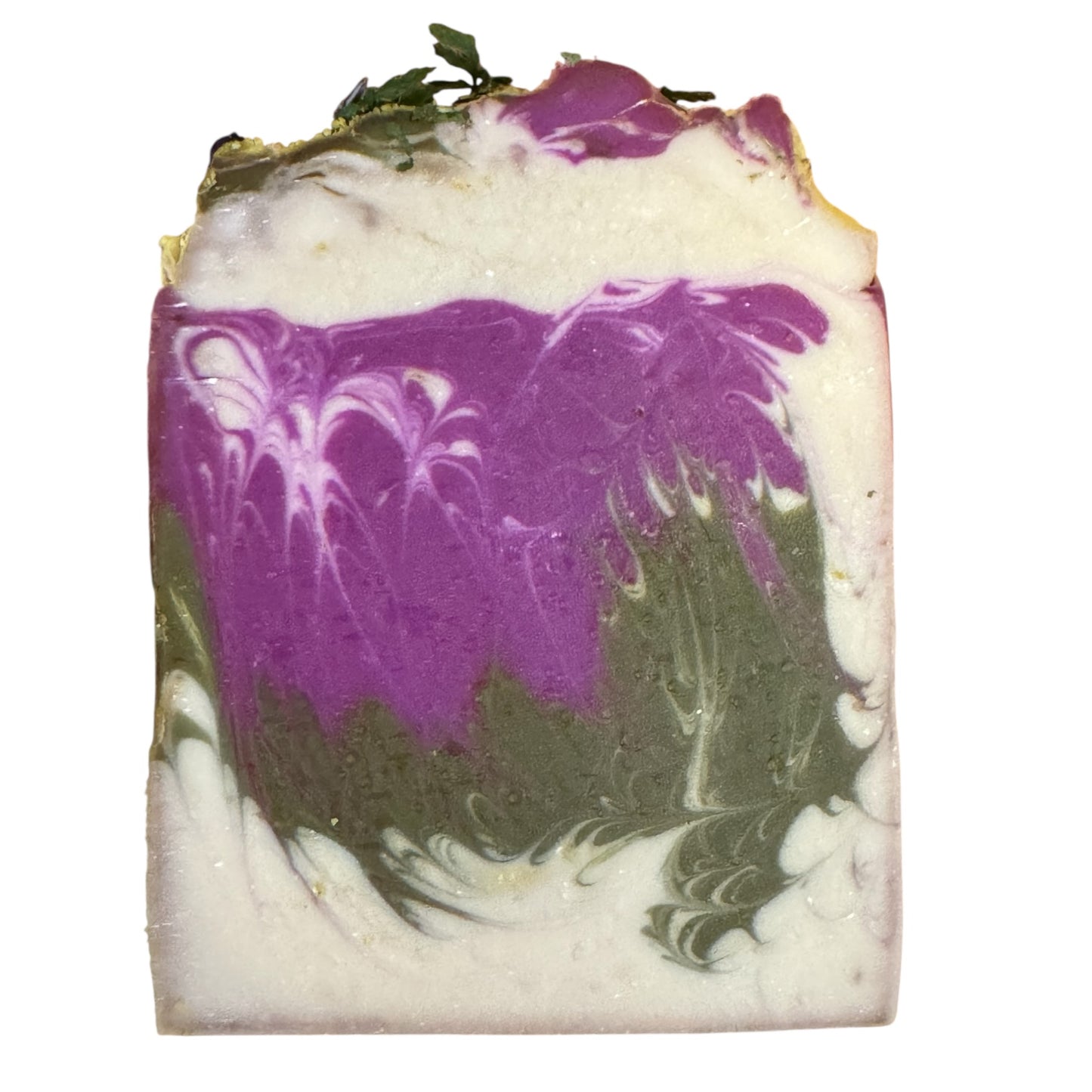 Alaskan Oak Moss