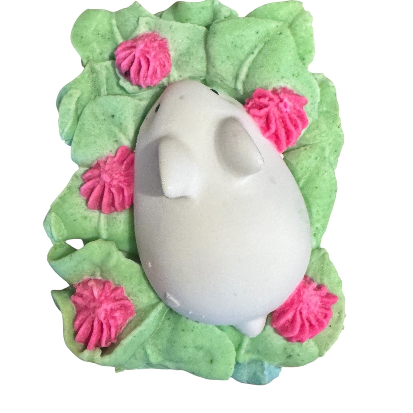 Show Bunny
